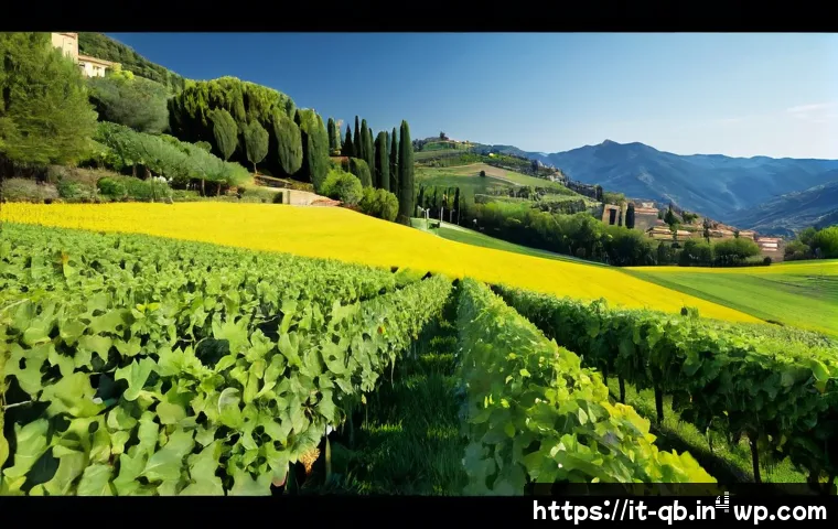 Riunioni più efficienti con la dieta informativa: metodo, strumenti e criteri di scelta 4 정보 다이어트법으로 효율적인 회의 진행하기 관련 이미지 2
